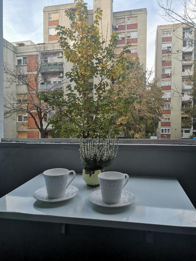 Vbk Osijek